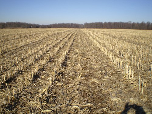 Property photo 31 - 159 Acres Offered in 7 Tracts